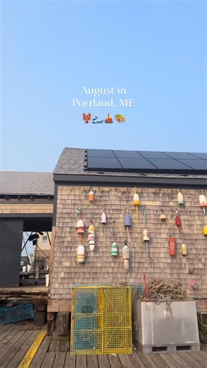 1.1K views · 18 reactions | Appreciating this gorgeous city before summer comes to an end! What’s your favorite part of Portland, Maine during the summer months? | Portland Downtown | Facebook