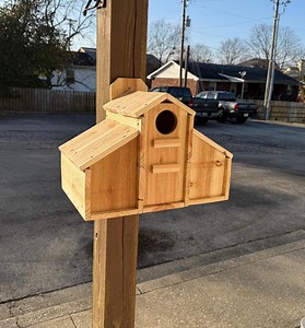 Cedar Squirrel Mansion Nesting Box With Dual Compartments and Inside Predator Guard - Etsy