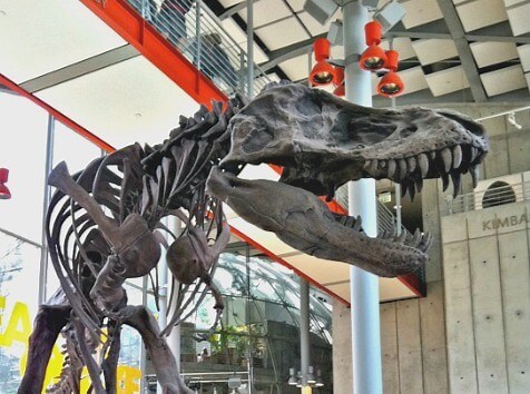 The Haight Ashbury. Best things to do and see here; tips from a local!