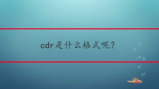 cdr是什么格式呢？