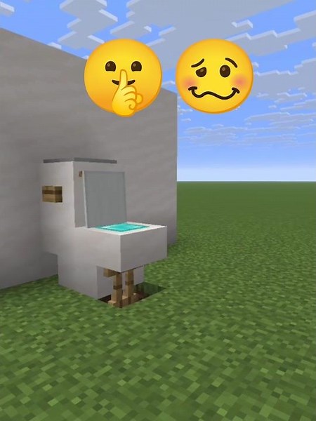 Minecraft Bathroom Hack You Need to Try! 😲
