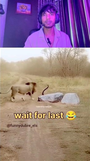 Sher or sap 😱😱😆🫢 #shorts #funny #comedy #shocked