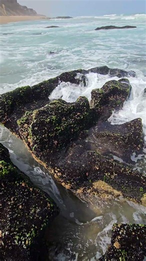 Powerful Ocean Waves 🌊 | Stunning Rocky Beach View