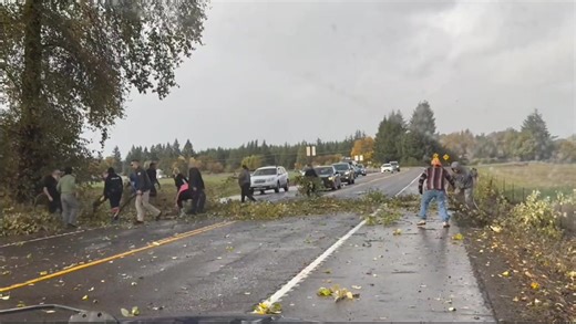 123K views · 3.1K reactions | Great to see the community in action!  Large tree debris fell and blocked Highway 22 between Dallas and Willamina today — but within minutes, several strangers stopped to help clear the debris and reopen the road. Teamwork like this keeps our community moving!   | Taylor Gustafson #PolkCounty #CommunityStrong #fblifestyle | PolkCo Scanner | Facebook