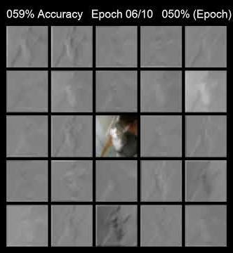 Neural Network Layer 1 During Real Training (24 Filters)