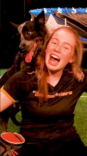 The Canine Stars Stunt Dog Show at Chandler Center for the Arts (February 21, 2026)