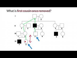 What Is "First Cousin Once Removed"?