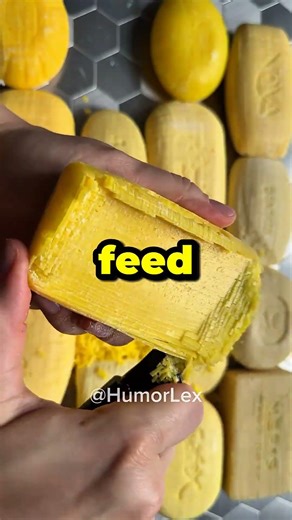 Opinion of vegetables ‪@Ryanhdlombard‬