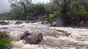 Water in the Desert - Organ Pipe Cactus National Monument (U.S. National Park Service)