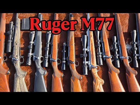 Ruger M77 and Hawkeye