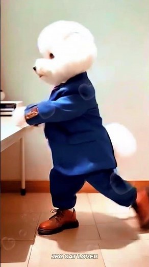 Puppy dance 😂🐕💃