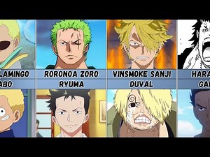 All One Piece Characters Who Look Similar