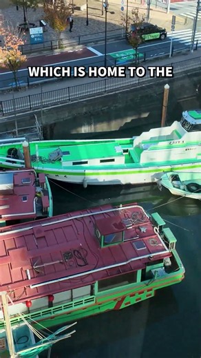 Three Things You NEED To Know About The Tokyo Monorail
