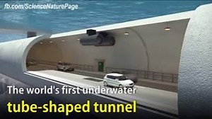 10K views · 14 reactions | This is awesome! | Best Of The Best Social Experiments | Facebook