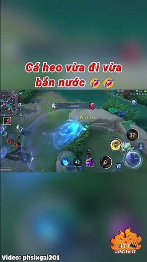 Cá heo vừa đi vừa bắn nước 🤣🤣 #shorts #lienquanmobile #liênquânmobile #lienquan #liênquân
