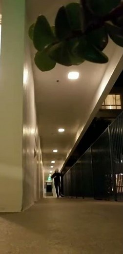 POV: Legion activated Feral Frenzy and hit a survivor