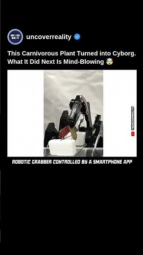 This Venus Flytrap Plant Can Turn Into Cyborg Using Smartphone App. Know How #robot #shorts #cyborg