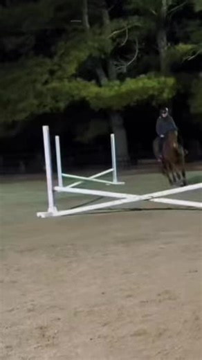cutest buggles over the fun little exercise