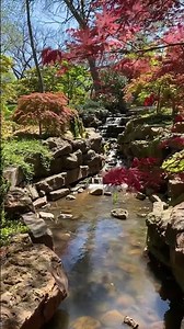 Spring #travel #traveltoktok #zen #perfectspot #spring #chill #secret