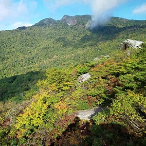 9K views · 78 reactions | Today! First fall colors popping on the Blue Parkway by Grandfather Mountain. Plan a trip with our Fall Color Guide & Forecast: https://seesugar.com/fall/ | See Sugar Mountain, NC | Facebook