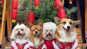 带着孩子们回家过年啦