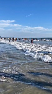 55K views · 270 reactions | The longest natural Sea beach in the World,  | Nayem Miah | Facebook