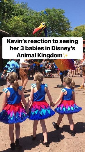 ONE YEAR LATER! I can’t believe it’s been a year since I posted my most popular tiktok! I hope you love it as much now as you did then, and it brings a smile to your face ❤️🌈 #paradisefalls #disneysanimalkingdom #animalkingdom #disneycharacters #characterreaction #characterreactions #pixar #pixarup #kevin #kevinsagirl