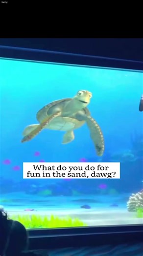 55K views · 710 reactions | BONSAI TREES ｜ Turtle talk with crush.  #TurtleTalk #funny #turtle | Turtle Crush Talk | Facebook