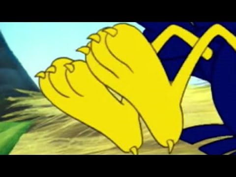 Gulliver the bird feet - animated feet - cartoon feet to relax to