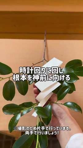 玉串奉奠の作法を簡単解説