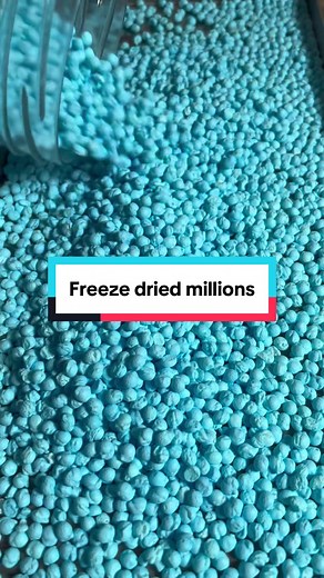 Freeze Dried Candy: A New Sweet Sensation