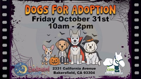 KCAS dogs for adoption event happening Friday