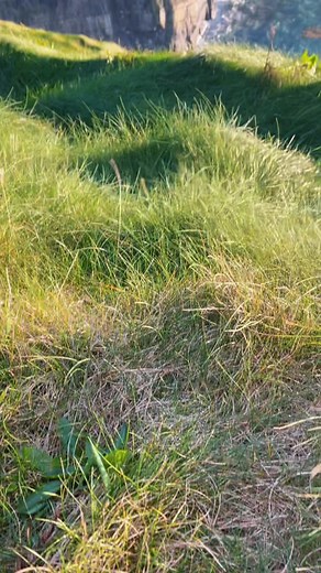 Exploring the Stunning Cliffs of Ireland