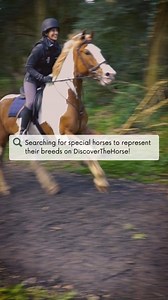 🐴150 Incredible Horse Breeds in 30 Different Countries have been ridden and filmed - but we've got lots more to go! ✨Does your horse want to be featured? | Discoverthehorse