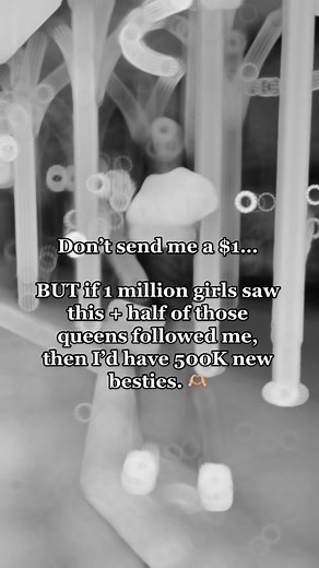 Stephanie Nardella on TikTok