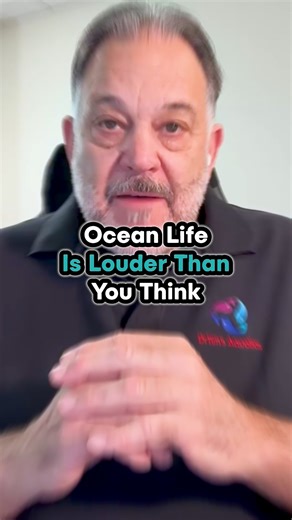 4.2K views · 47 reactions | Ocean Life Is Louder Than You Think Life on a houseboat in Sausalito Bay might seem peaceful from the surface. Below the water, fish are active, especially during mating season. Male fish make sounds to attract females, each with their own rhythm. What seems quiet above is actually full of life and movement below. Follow us if you want to learn more fascinating facts about aquatic life. #HouseboatLiving #MarineLife #DrTimsAquatics | DrTims Aquatics | Facebook