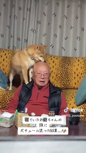 寝ていたお爺ちゃんの頭に犬チュールを塗った結果