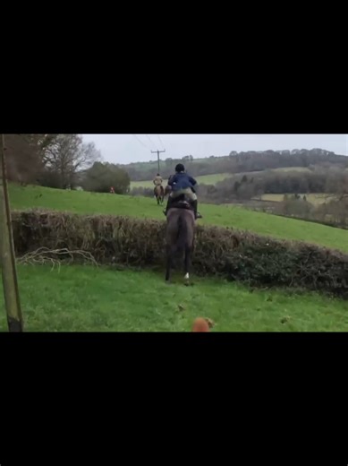 South notts today with Merlin, small but mighty horse tackling the big bloody hedges! Classy SN day, lovely crowds aswell👌🏼 #bantheban #huntingtiktok #fyp #hedgehopping #tallyho