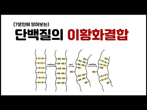 [Macromolecule] 3.15 Proteins - Disulfide Bonds