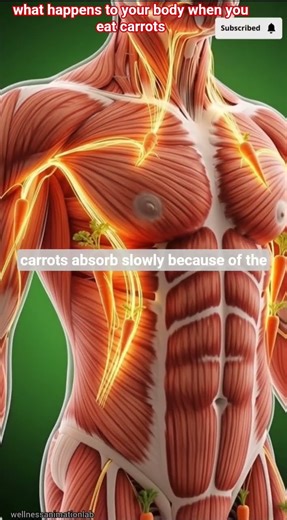 what happens to your body when you eat carrots#Carrots #HealthFacts #NutritionTips