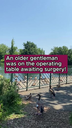 104K views · 3.4K reactions | An older gentleman was on the operating table awaiting surgery...! 藍 #funny #reels #jokes #comedy #funnyreels #viralreels #welovejokesuk | We Love Jokes | Facebook