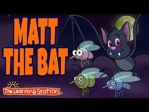 Matt the Bat 👻 Halloween Witch Dance 👻 Kids Halloween Songs 👻 by The Learning Station