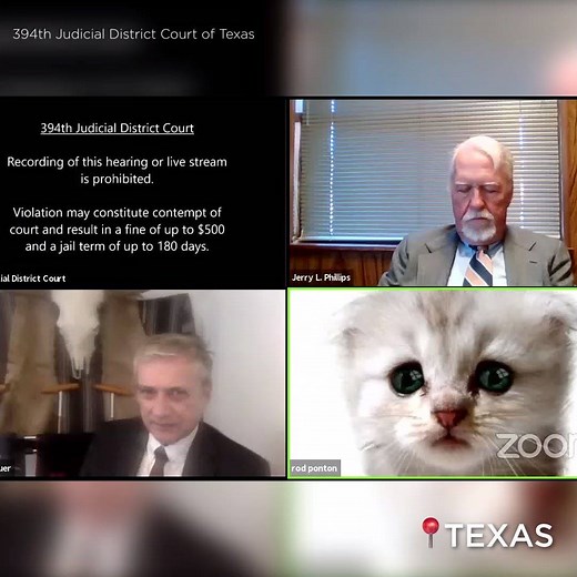 243K views · 1.6K reactions | 'I'm here live, I'm not a cat!' An attorney in west Texas received some unexpected attention during a Zoom call that involved the face of a friendly cat. https://abc11.tv/3rC5cv3 | ABC11 WTVD | Facebook