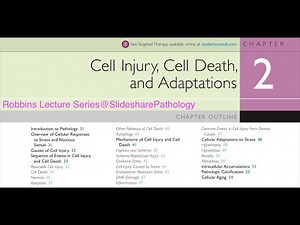 Cell Adaptations Lecture 1.1 | Robbins Chapter 2: Cell injury, Cell Death and Adaptations