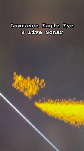 Lowrance Eagle Eye 9 Live Sonar! What do you guys think? Full video review coming soon! #fishing