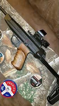 RWS Diana Lp8 Magnum .177 review 🐿🎯🦝🐇🦡🦊🦃