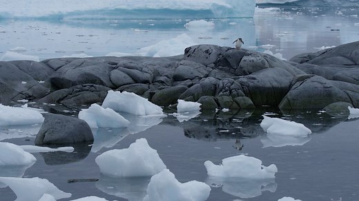 How Antarctica is helping in the climate fight and how to protect it