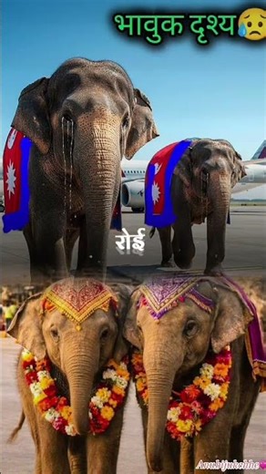 #fypyoutube 💞🫶🏻🇳🇵