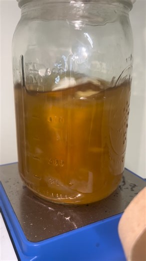 Remember to regularly stir your LC!😝 This is barely 2 months old, just super aggressive mycelium! | Oth Mycology