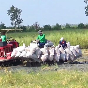 The best skill with driving tractor on rice field | Daily Post